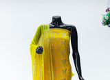 Narmeen | Chiffon Kamdani Hand Work