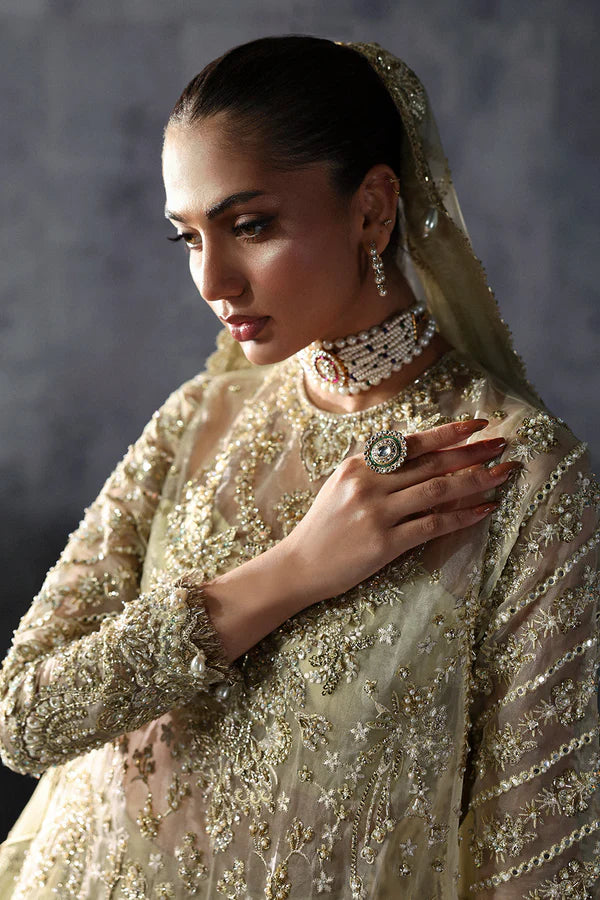 Orazio AFB-24-06 | The Brides Edit '24 | Afrozeh