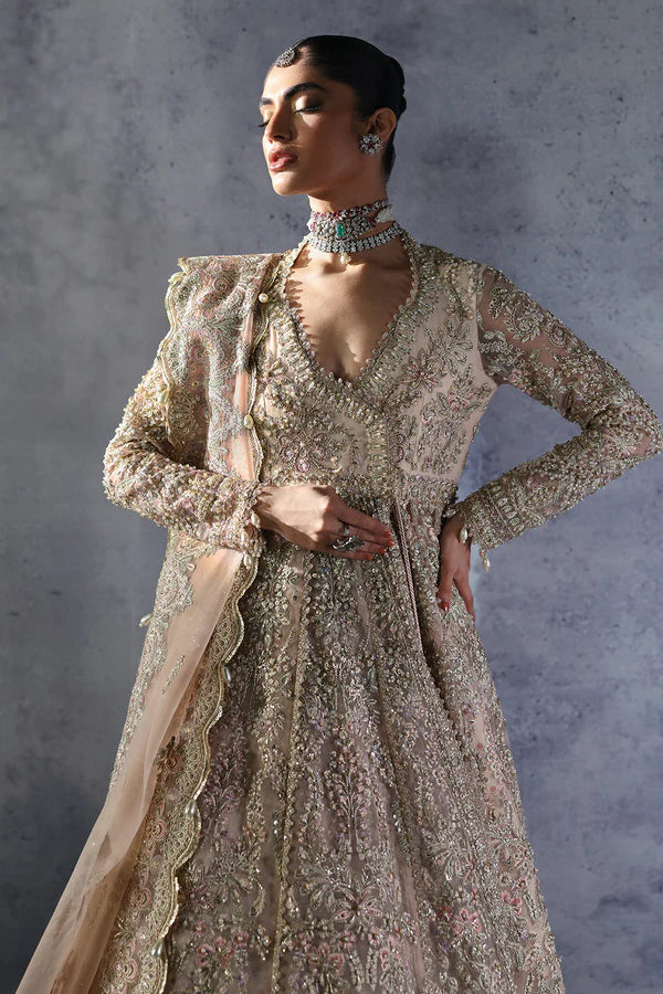 Emilia AFB-24-05 | The Brides Edit '24 | Afrozeh