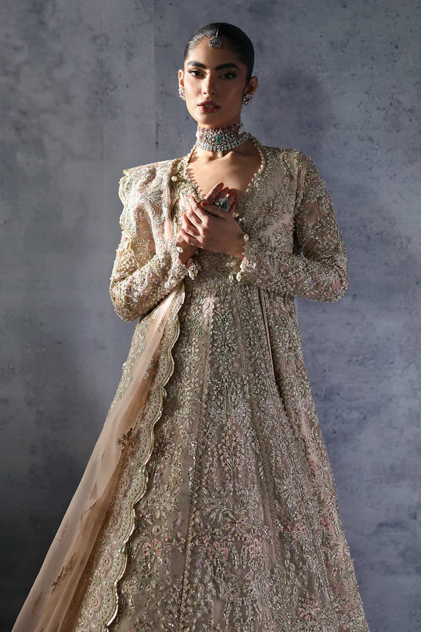 Emilia AFB-24-05 | The Brides Edit '24 | Afrozeh