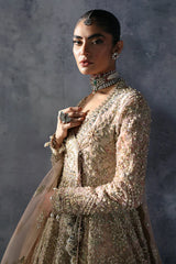 Emilia AFB-24-05 | The Brides Edit '24 | Afrozeh