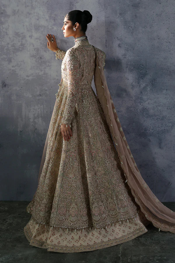 Emilia AFB-24-05 | The Brides Edit '24 | Afrozeh