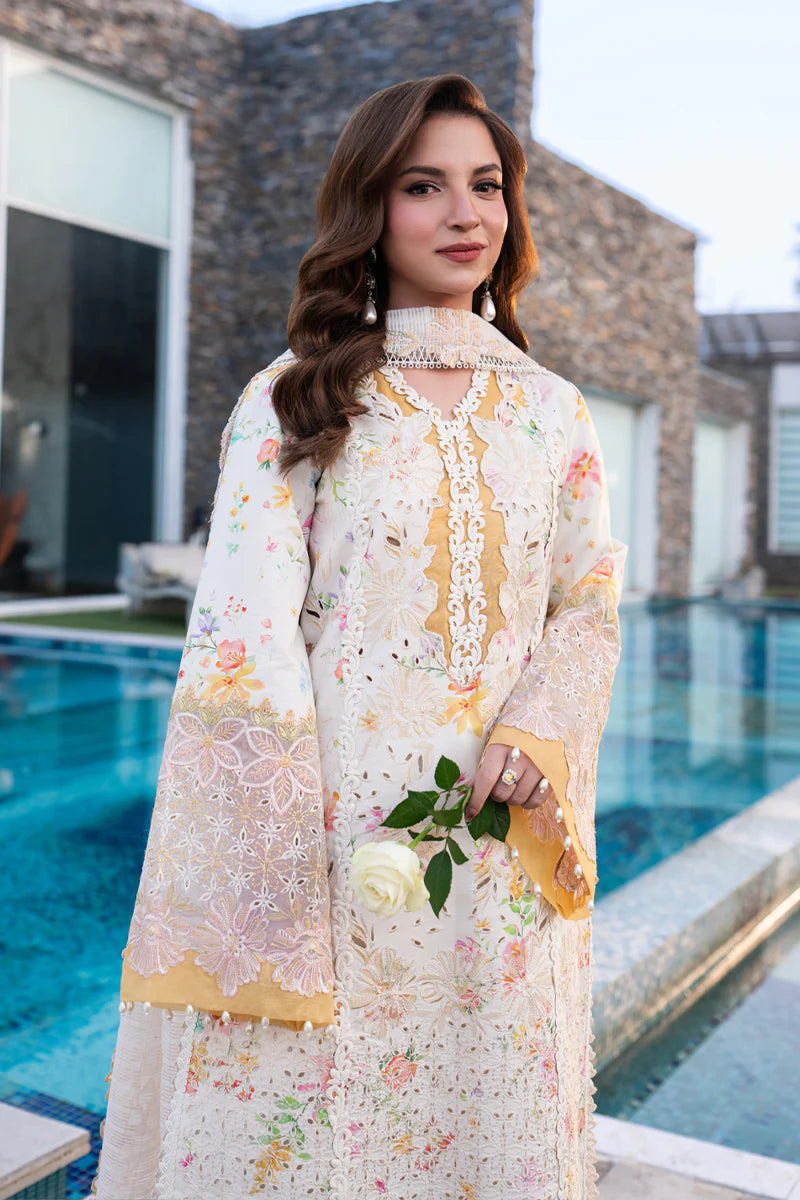 LILY BY RANG RASIYA
