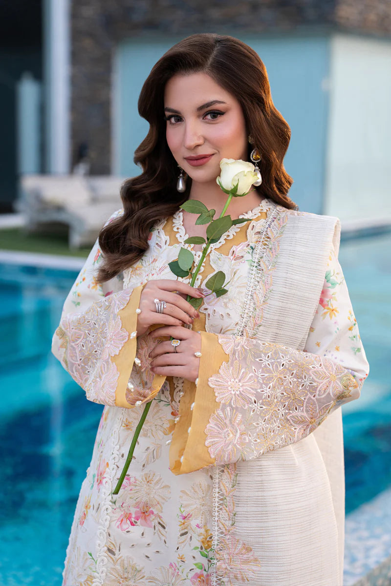LILY BY RANG RASIYA
