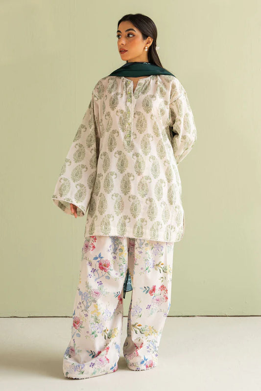 Paisley-6B | Coco Prints 2025 | Zara Shahjahan