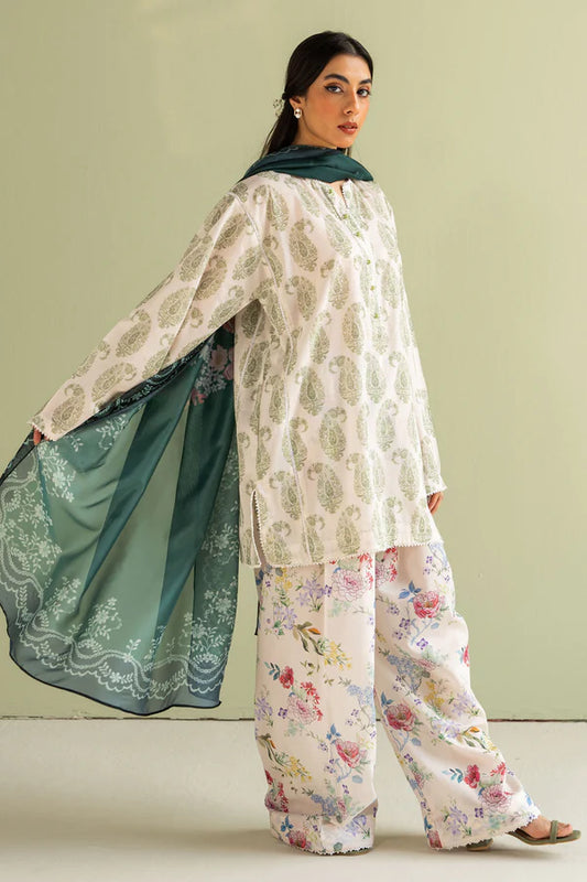 Paisley-6B | Coco Prints 2025 | Zara Shahjahan