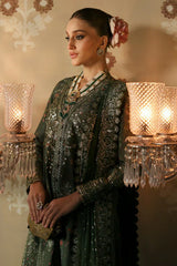 Zeba | Divani Silk Edit'25 | Afrozeh