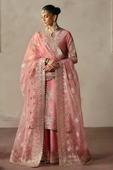 Gulrukh | Divani Silk Edit'25 | Afrozeh