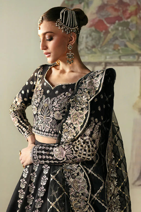 Husnara | Divani Silk Edit'25 | Afrozeh
