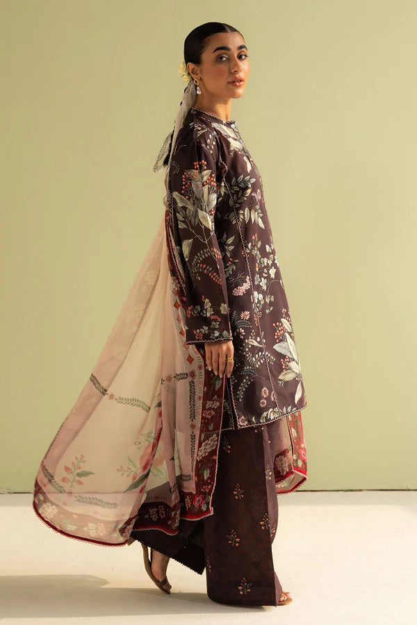 Zoe-7B  Coco Prints 2025  Zara Shahjahan