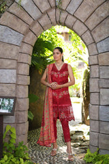 D12-A Red Chevron | Noor Luxury Chikankari Lawn'24 | Noor by Saadia Asad
